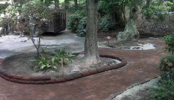 landscapers james island sc