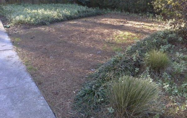 Charleston Pavers