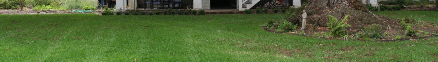 low country landscaping